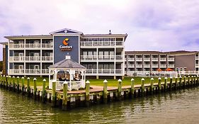 Comfort Suites Chincoteague Island Va 3*